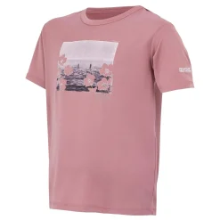 Regatta T-shirt Alvarado IX pour enfant |<Enfant T-Shirts