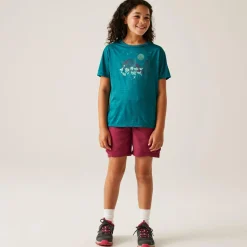 Regatta T-shirt Alvarado IX pour enfant |<Enfant T-Shirts