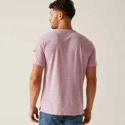 Regatta T-shirt Benlie pour homme |<Homme/Femme T-Shirts