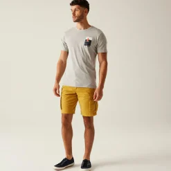 Regatta T-shirt Cline IX pour homme |<Homme/Femme T-Shirts