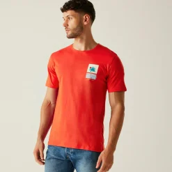 Regatta T-shirt Cline IX pour homme |<Homme/Femme T-Shirts