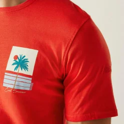 Regatta T-shirt Cline IX pour homme |<Homme/Femme T-Shirts