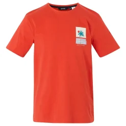 Regatta T-shirt Cline IX pour homme |<Homme/Femme T-Shirts