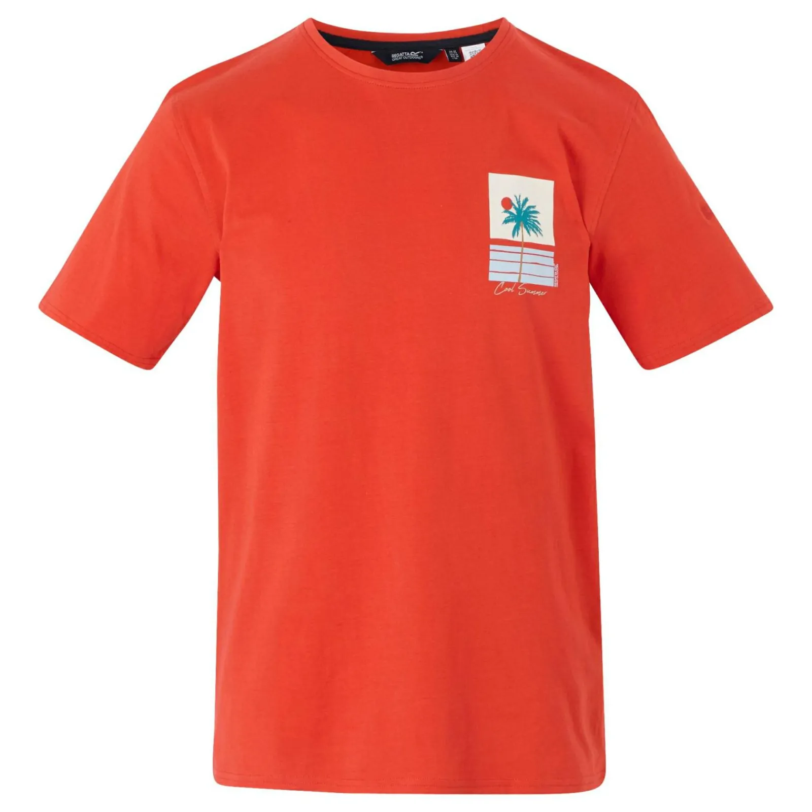 Regatta T-shirt Cline IX pour homme |<Homme/Femme T-Shirts