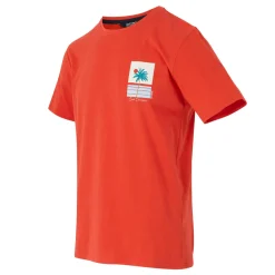 Regatta T-shirt Cline IX pour homme |<Homme/Femme T-Shirts