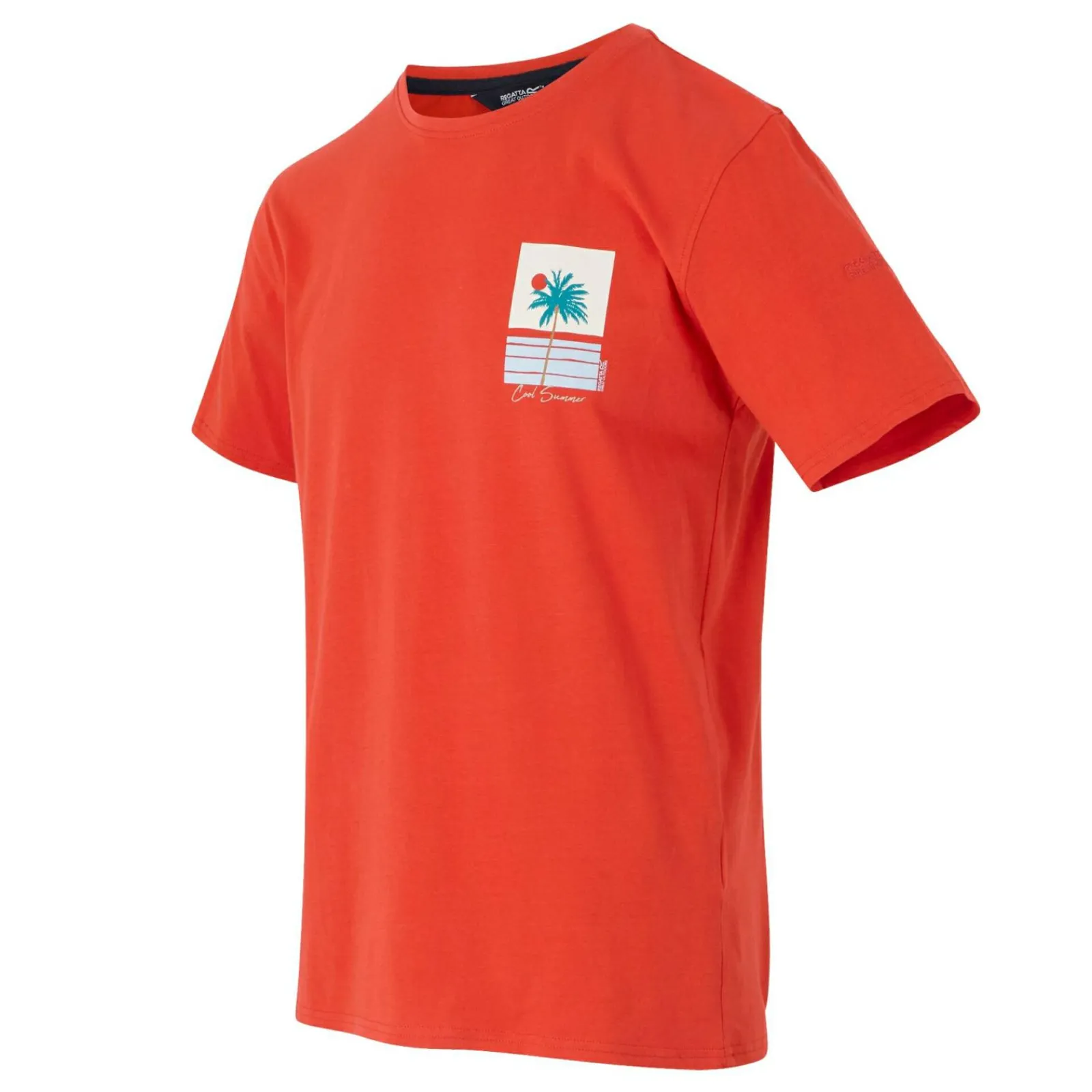 Regatta T-shirt Cline IX pour homme |<Homme/Femme T-Shirts