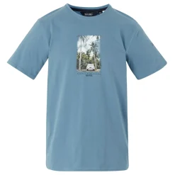 Regatta T-shirt Cline IX pour homme |<Homme/Femme T-Shirts