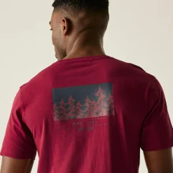 Regatta T-shirt Cline IX pour homme |<Homme/Femme T-Shirts