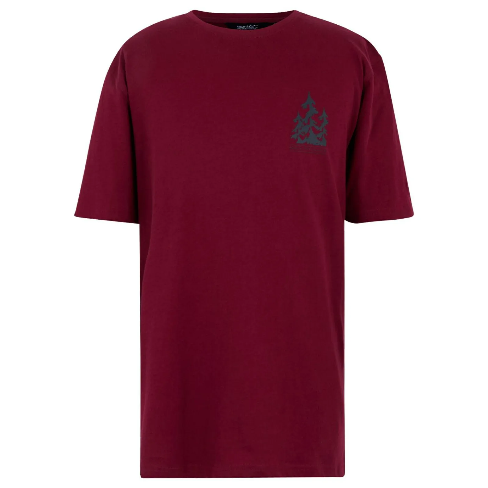 Regatta T-shirt Cline IX pour homme |<Homme/Femme T-Shirts