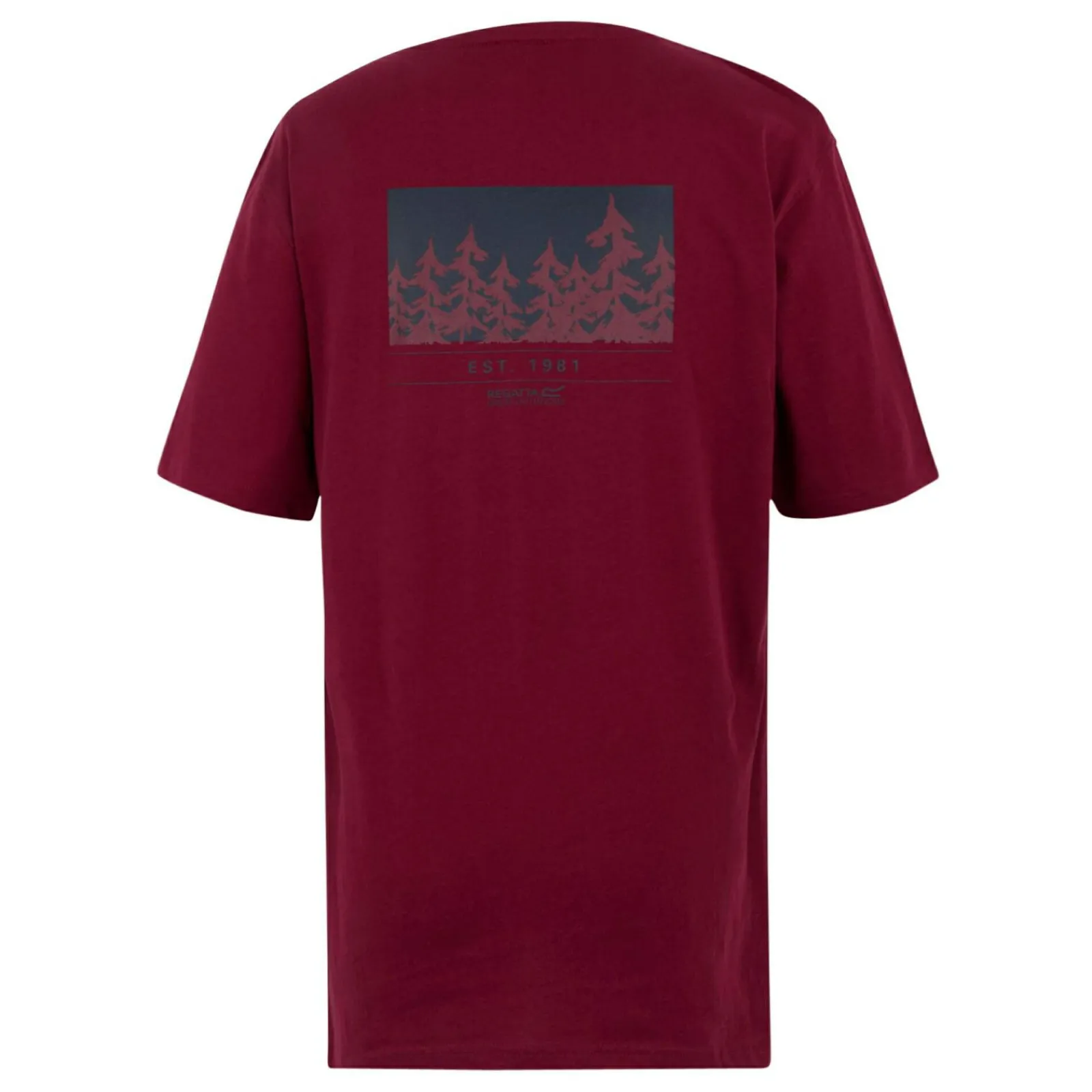 Regatta T-shirt Cline IX pour homme |<Homme/Femme T-Shirts