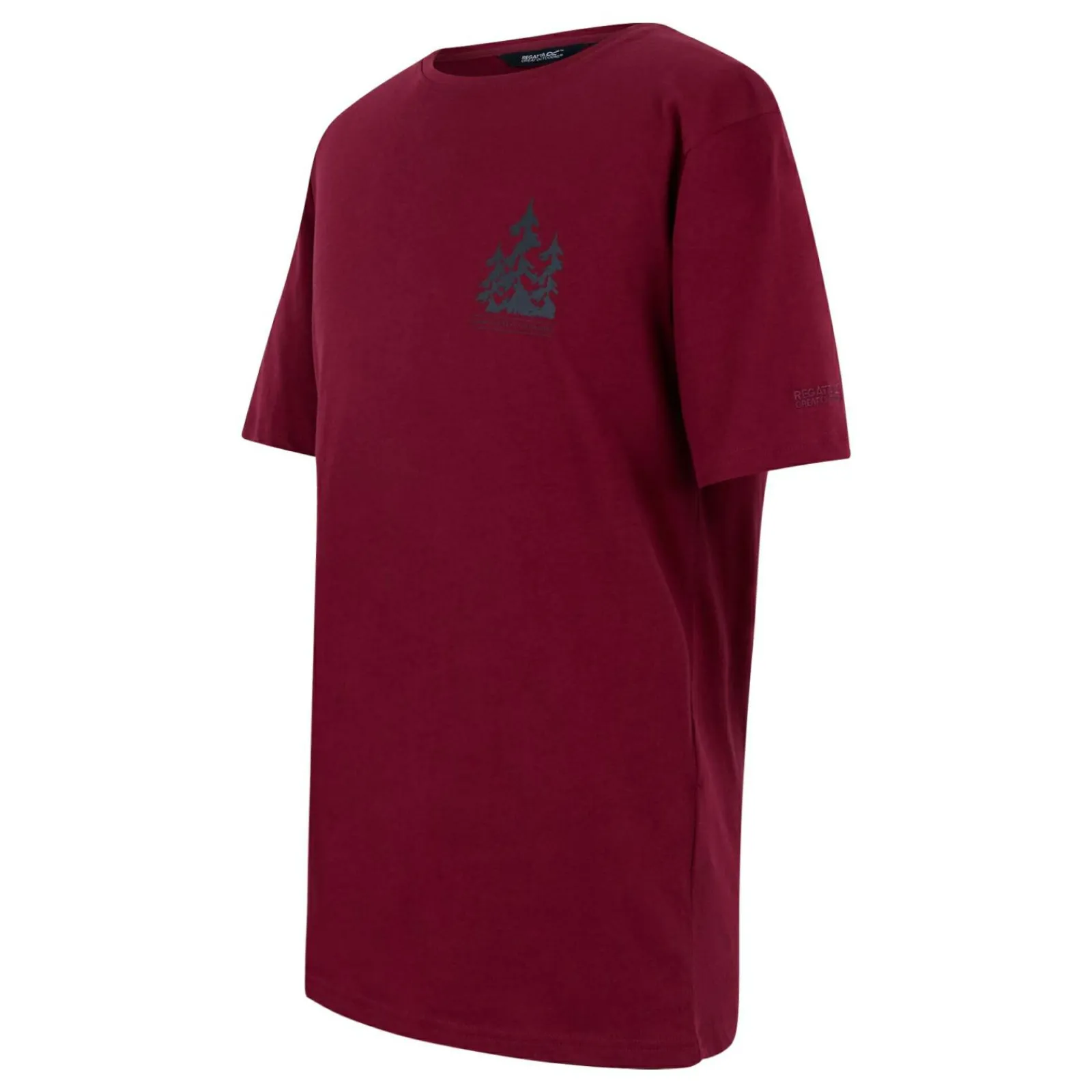 Regatta T-shirt Cline IX pour homme |<Homme/Femme T-Shirts