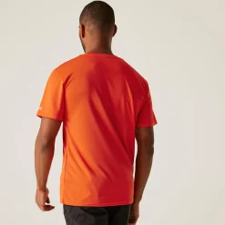 Regatta T-shirt Fingal IX pour homme |<Homme/Femme T-Shirts