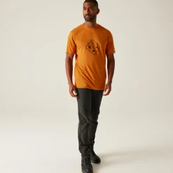 Regatta T-shirt Fingal Stretch pour homme |<Homme/Femme T-Shirts