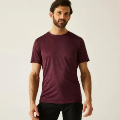 Regatta T-shirt Homme chiné Fingal |<Homme/Femme T-Shirts