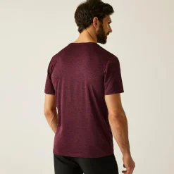 Regatta T-shirt Homme chiné Fingal |<Homme/Femme T-Shirts
