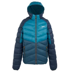 Regatta Veste à capuche isolée Dalent pour homme |<Homme Vestes Sans Manches