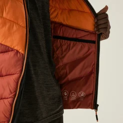 Regatta Veste à capuche isolée Dalent pour homme |<Homme Vestes Sans Manches