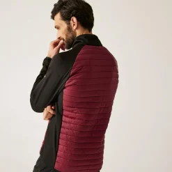 Regatta Veste hybride pour homme Clumber |<Homme Vestes Isolantes|Vestes Hybrides
