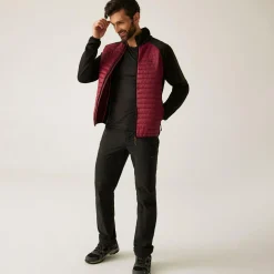 Regatta Veste hybride pour homme Clumber |<Homme Vestes Isolantes|Vestes Hybrides