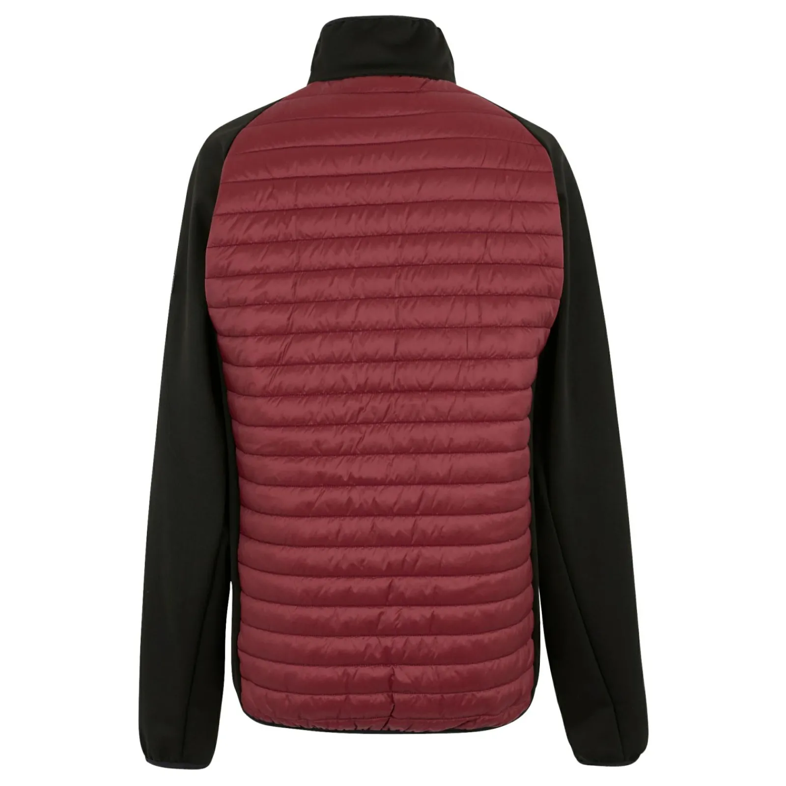 Regatta Veste hybride pour homme Clumber |<Homme Vestes Isolantes|Vestes Hybrides