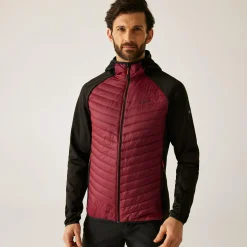 Regatta Veste hybride pour homme Andreson |<Homme Vestes Isolantes|Vestes Hybrides