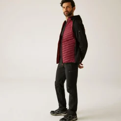 Regatta Veste hybride pour homme Andreson |<Homme Vestes Isolantes|Vestes Hybrides