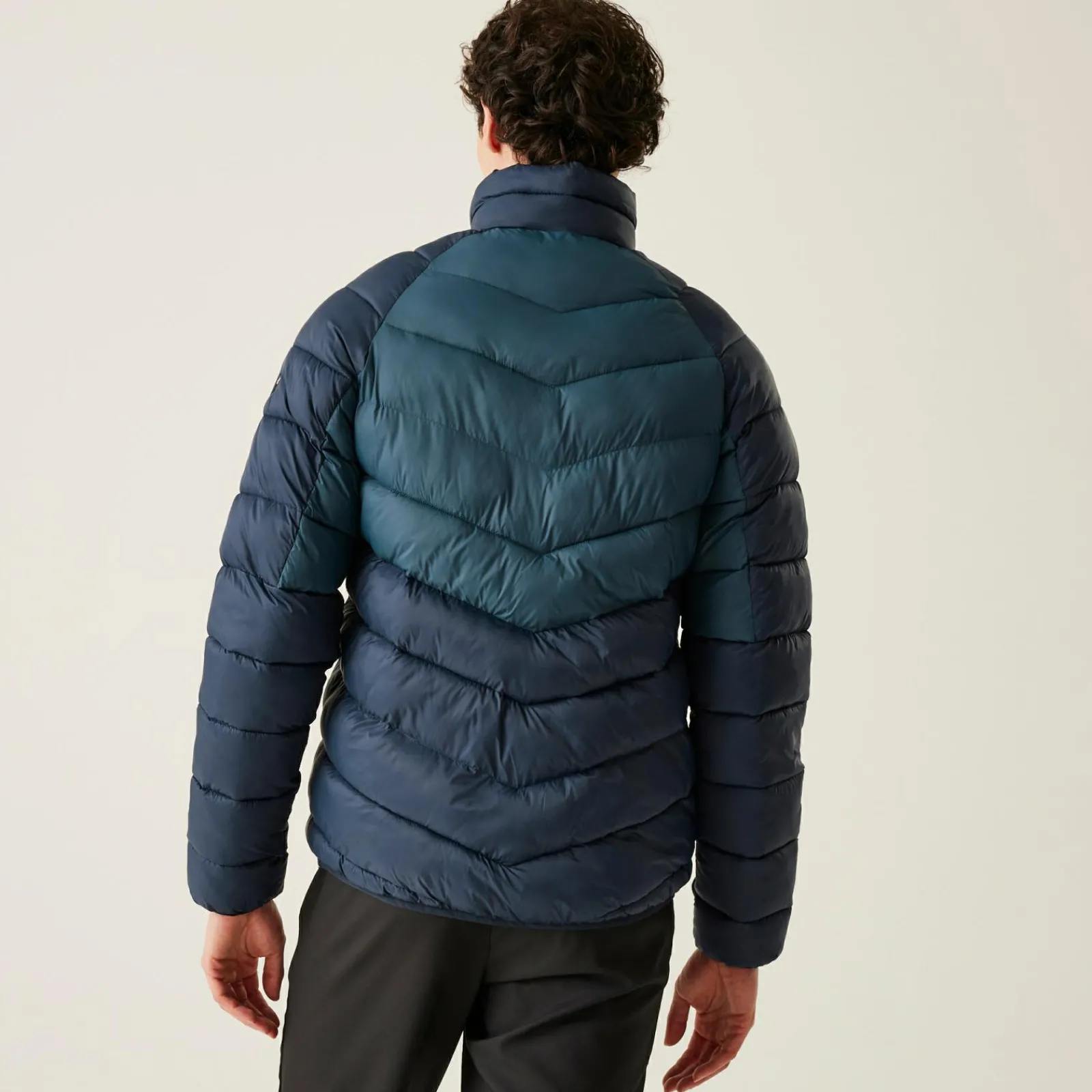Regatta Veste matelassée Dalent pour homme |<Homme Vestes Sans Manches|Doudounes