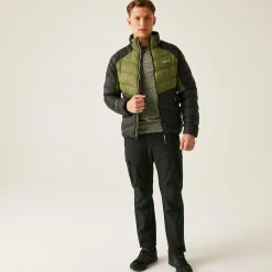 Regatta Veste matelassée Dalent pour homme |<Homme Vestes Sans Manches|Doudounes