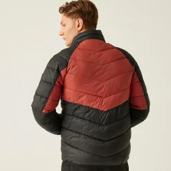 Regatta Veste matelassée Dalent pour homme |<Homme Vestes Sans Manches|Doudounes