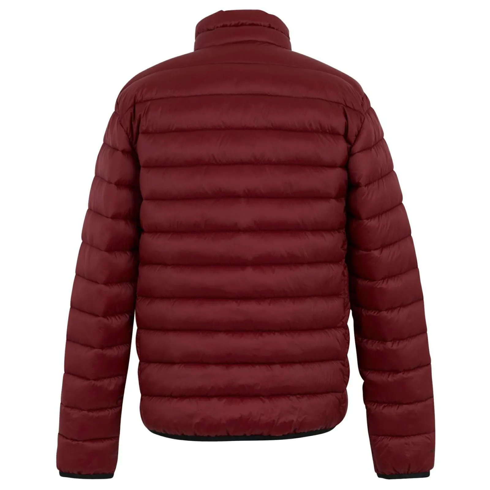 Regatta Veste matelassée Marizion pour homme |<Homme Doudounes|Vestes Isolantes