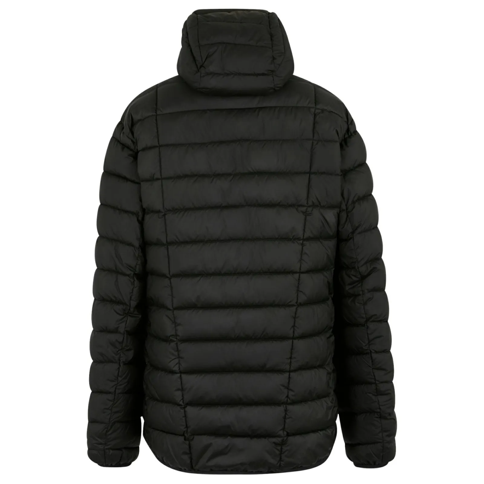 Regatta Veste matelassée pour homme Asper |<Homme Vestes Isolantes|Doudounes