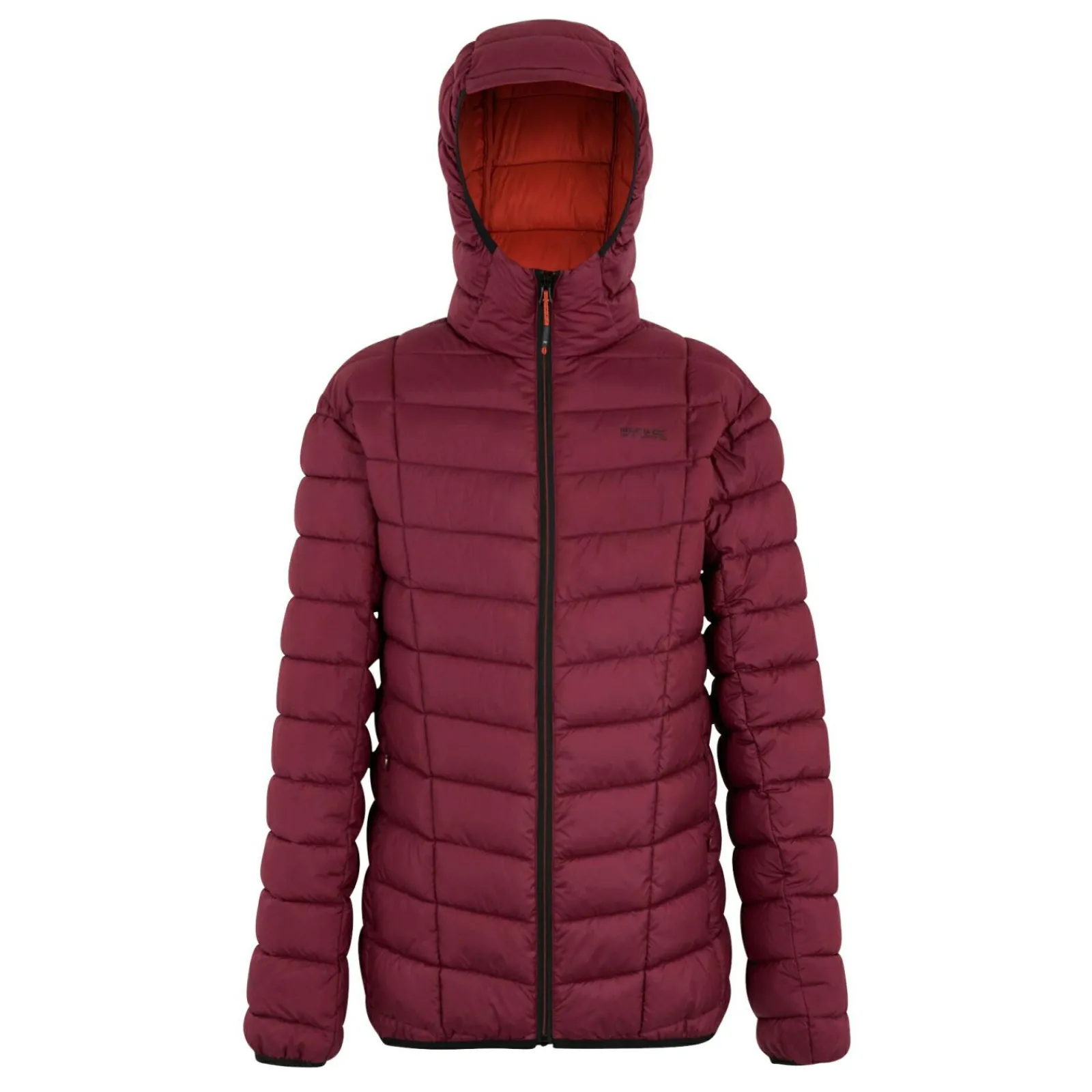 Regatta Veste matelassée pour homme Asper |<Homme Doudounes|Vestes Isolantes
