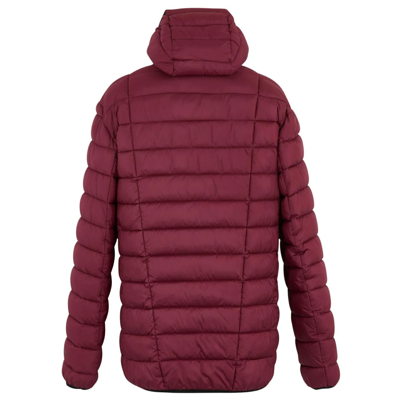 Regatta Veste matelassée pour homme Asper |<Homme Doudounes|Vestes Isolantes