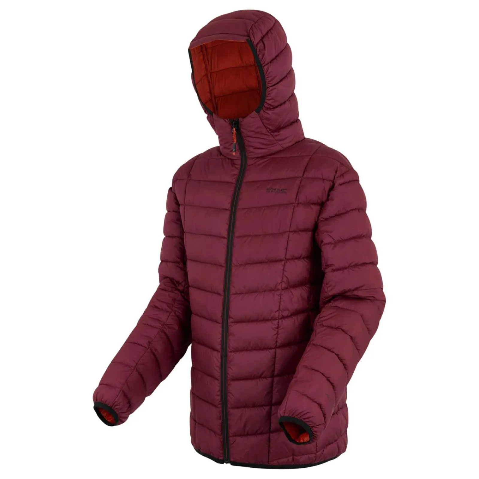 Regatta Veste matelassée pour homme Asper |<Homme Doudounes|Vestes Isolantes