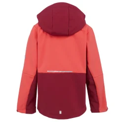 Regatta Veste softshell Haydenbury II pour enfant |<Enfant Vestes Softshell