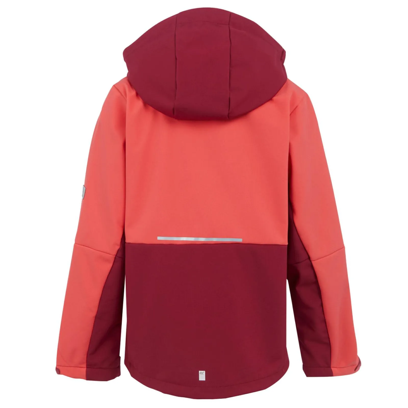Regatta Veste softshell Haydenbury II pour enfant |<Enfant Vestes Softshell