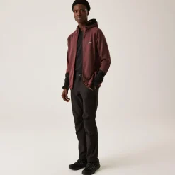 Regatta Veste softshell Sarwood pour homme |<Homme Vestes Softshell