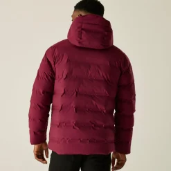 Regatta Veste thermique imperméable pour homme Altoro |<Homme Doudounes|Vestes Isolantes