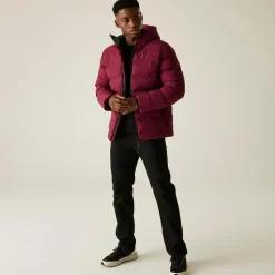 Regatta Veste thermique imperméable pour homme Altoro |<Homme Doudounes|Vestes Isolantes