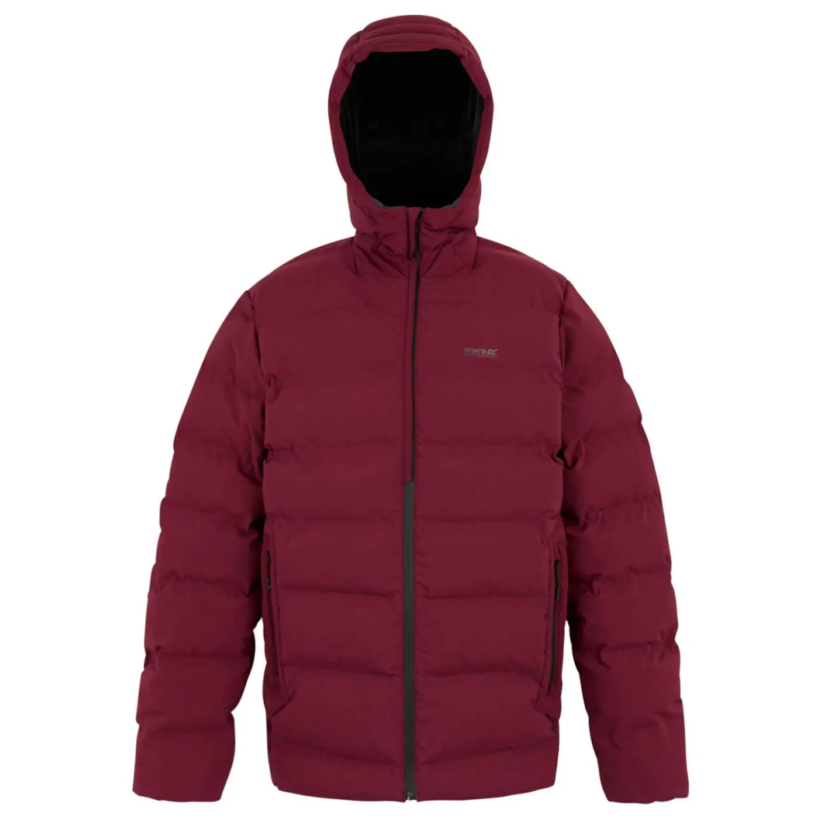 Regatta Veste thermique imperméable pour homme Altoro |<Homme Doudounes|Vestes Isolantes