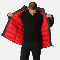 Regatta Yewbank II Parka pour homme |<Homme Vestes Parka|Vestes Isolantes